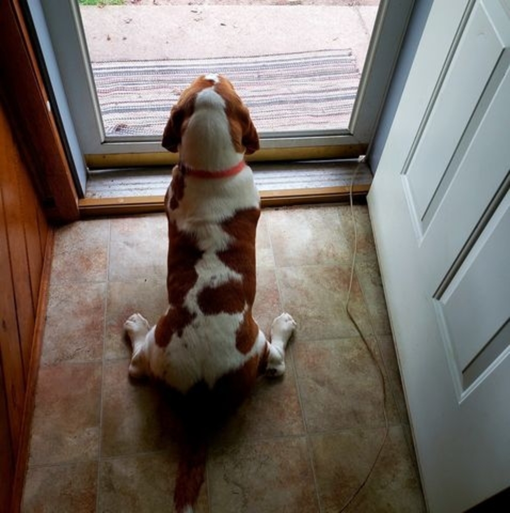 Meet your Posher, Donna